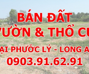 BÁN LÔ ĐẤT VƯỜN & THỔ CƯ - PHƯỚC LÝ LONG AN
